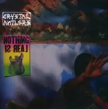 CD NOTHING IS REAL