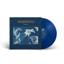 Vinyl DISTRACTIONS