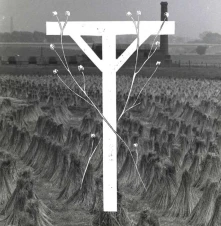 Vinyl AMENRA - 7-HET DORP / DE ZOTTE MORGEN