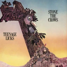 CD TEENAGE LICKS