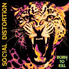 Social Distortion, CD Born To Kill