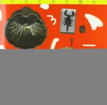 Vinyl REYMOUR - LEVIOSA