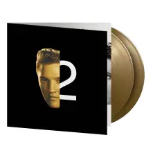 Vinyl 2nd To None