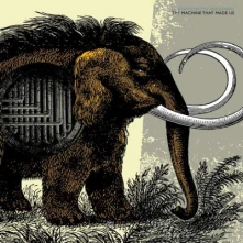 Płyta winylowa FLOTATION TOY WARNING - MACHINE THAT MADE US