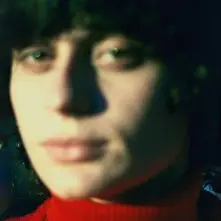 Vinyl LITTLE ELECTRIC CHICKEN HEART