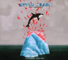 Vinyl CHAINS & STAKES