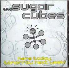 Vinyl SUGARCUBES - HERE TODAY, TOMORROW NEXT WEEK!