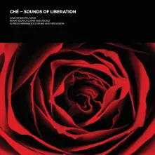 Vinyl SOUNDS OF LIBERATION