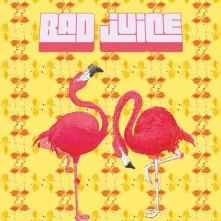 Vinyl HIGH PULP - BAD JUICE