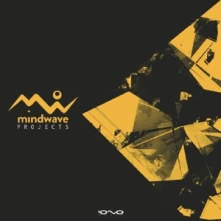CD MINDWAVE - PROJECT 5