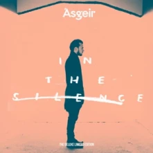 CD ASGEIR - IN THE SILENCE