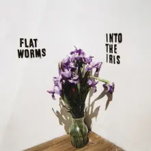 Vinyl INTO THE IRIS