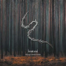 CD THROUGH SHADED WOODS