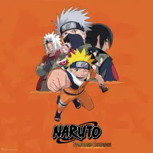Vinyl NARUTO SYMPHONIC EXPERIENCE