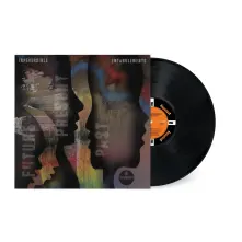 Vinyl FUTURE PRESENT PAST