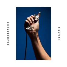 Grandbrothers, Vinyl DILATION