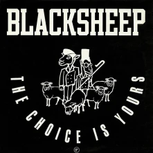 Vinyl The Choice Is Yours