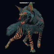 CD Hyenah - Watergate 27