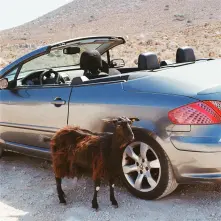 Vinyl EXEK - PROVE THE MOUNTAINS MOVE