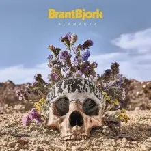 Vinyl JALAMANTA