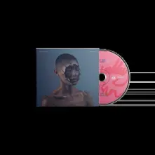 CD THE VALLEY OF VISION