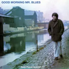 Vinyl GOOD MORNING MR BLUES