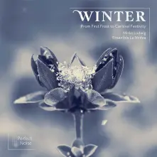 CD WINTER - FROM FIRST FROST TO CARNIVAL FESTIVITY