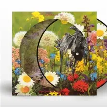 Vinyl SWASTIKAS FOR NODDY