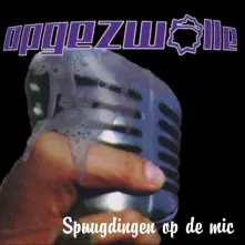 Vinyl SPUUGDINGEN OP DE MIC