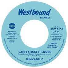 Vinyl Can't Shake It Loose / I'll Bet You (7" Vinyl)