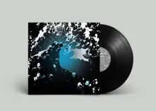 Vinyl A LIVING COMMODITY