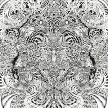CD FYR