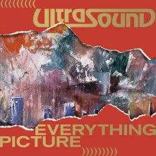 Vinyl ULTRASOUND - EVERYTHING PICTURE