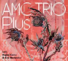 Amc Trio, CD Plus
