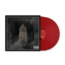 Vinyl BORN SINNER