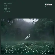 Vinyl NEXT TIME COULD BE YOUR LAST TIME