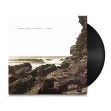 Vinyl Surfing On Sine Waves