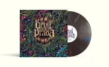 The Devil Wears Prada, Vinyl PLAGUES
