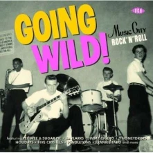 CD V/A - GOING WILD!