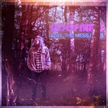 CD ROOFMAN - STILL THE MESS I WAS