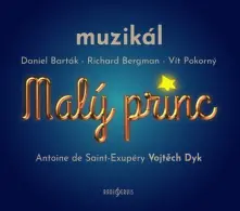 Vít Pokorný, CD Malý princ - muzikál