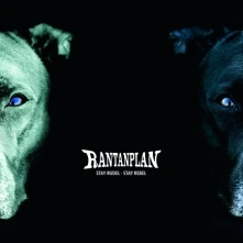 CD RANTANPLAN - STAY RUDEL - STAY REBEL
