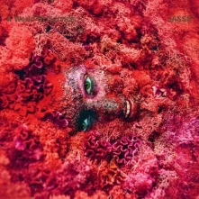 CD JASSS - A WORLD OF SERVICE