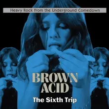 Vinyl V/A - BROWN ACID: SIXTH TRIP