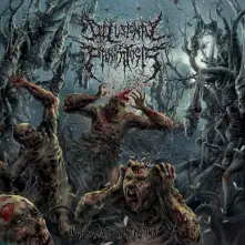 CD INGURGITATING INTESTINAL ROT