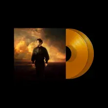 Vinyl FROM ONE BLINK TO ANOTHER