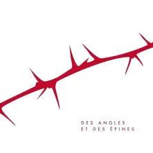 Vinyl DES ANGLES ET DES EPINES