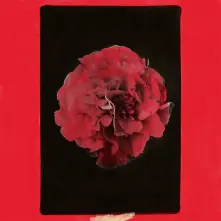 Vinyl ACTIVITY - A THOUSAND YEARS IN ANOTHER WAY