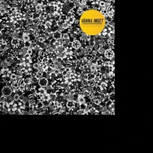 Vinyl VANNA INGET - INGEN BOTTEN