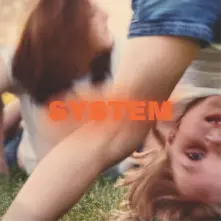 Vinyl SYSTEM